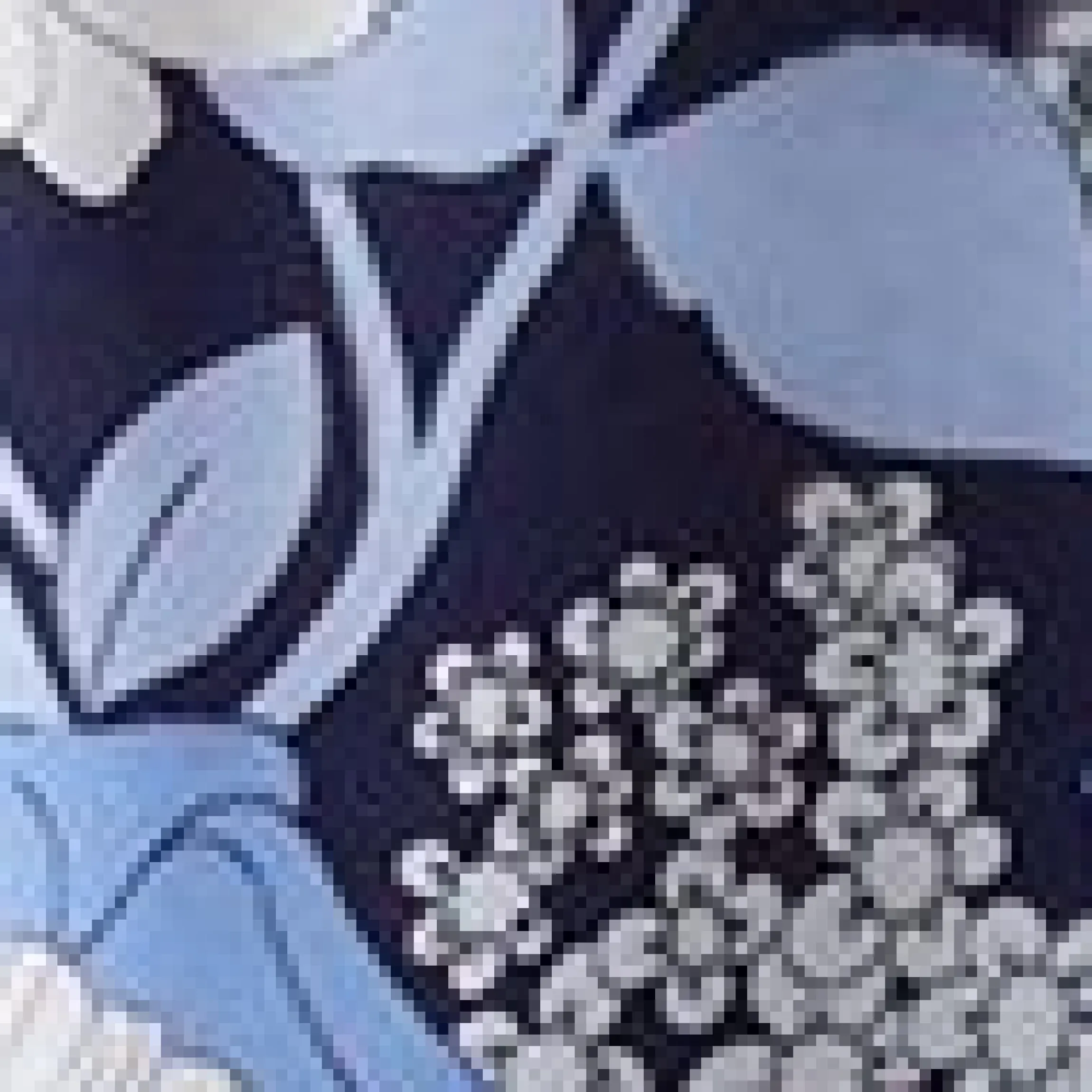 Bedrucktes Minikleid mit Kragen