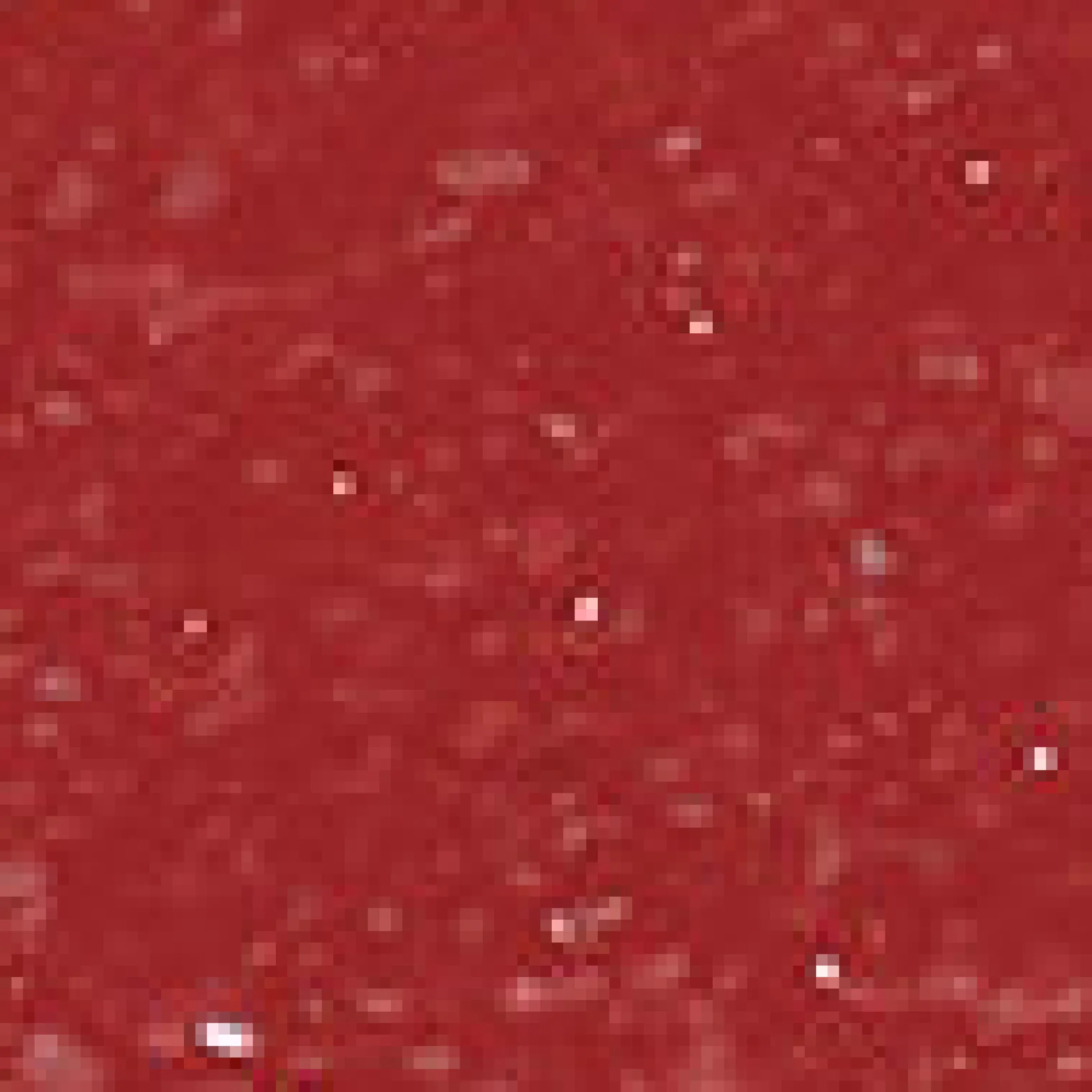 Berry Mix Lipglow