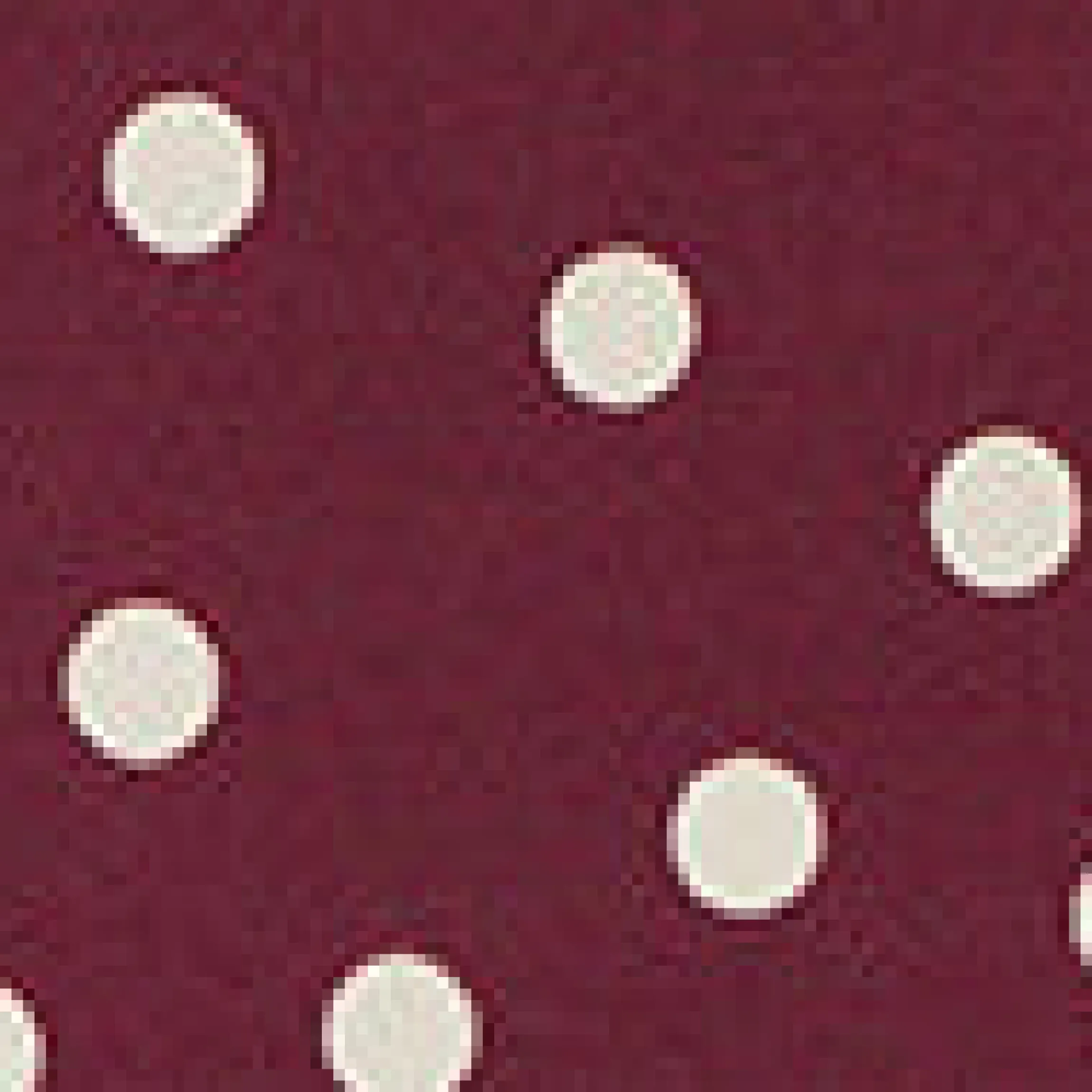 Bikinihose mit Bindedetail