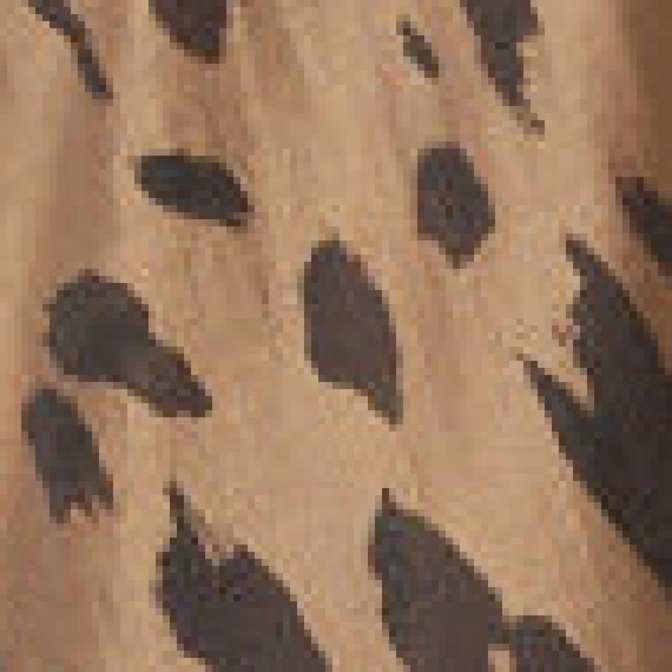 Bluse mit Raffungen und Bindedetail
