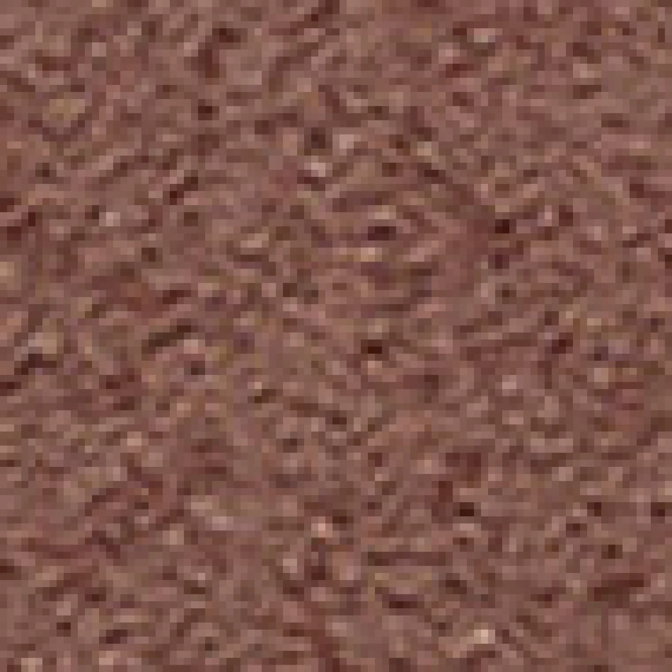 Dark Deep Complexion Tint