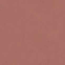 Early Sepia Satin Lip Colour