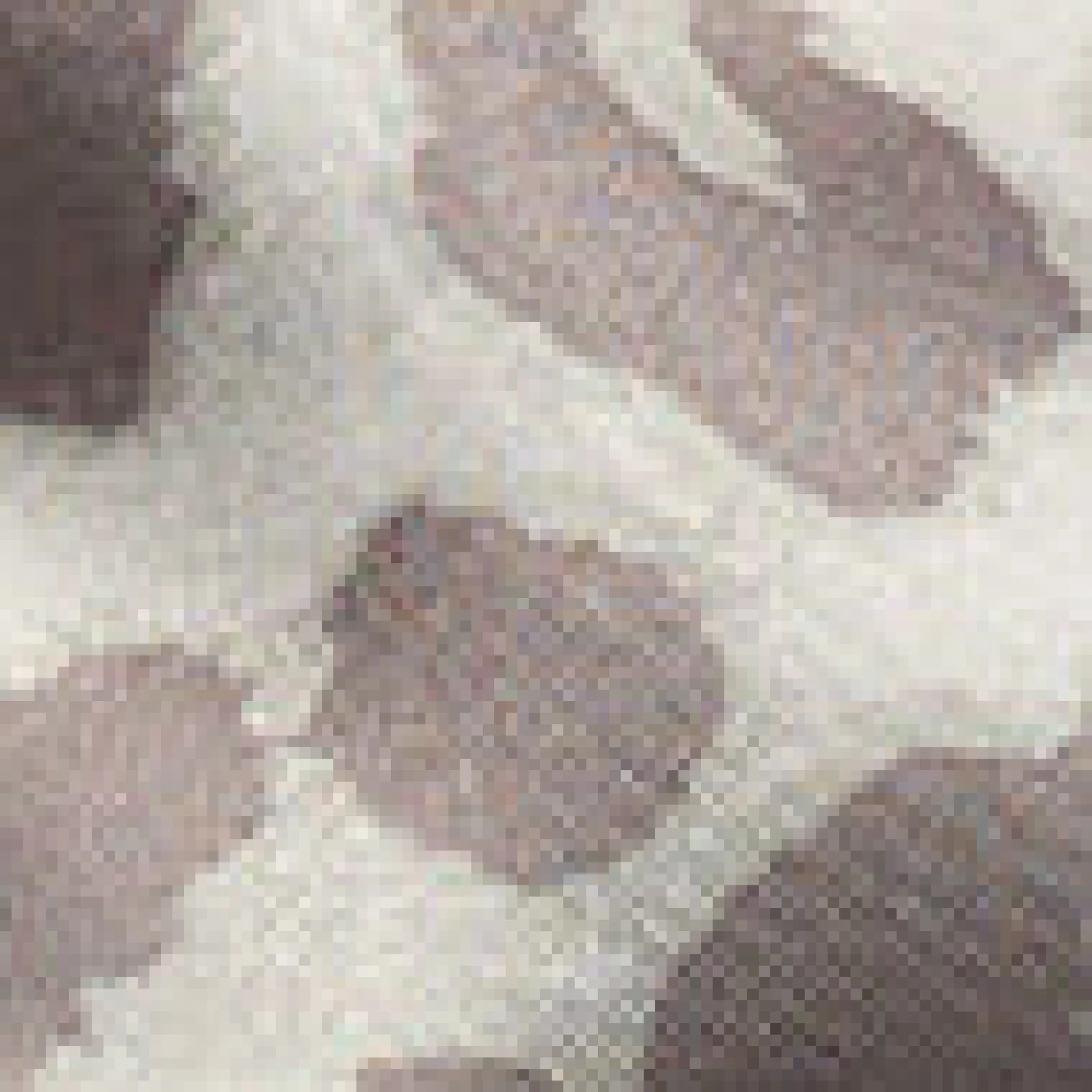 Großer Scrunchie mit Leopardenmuster