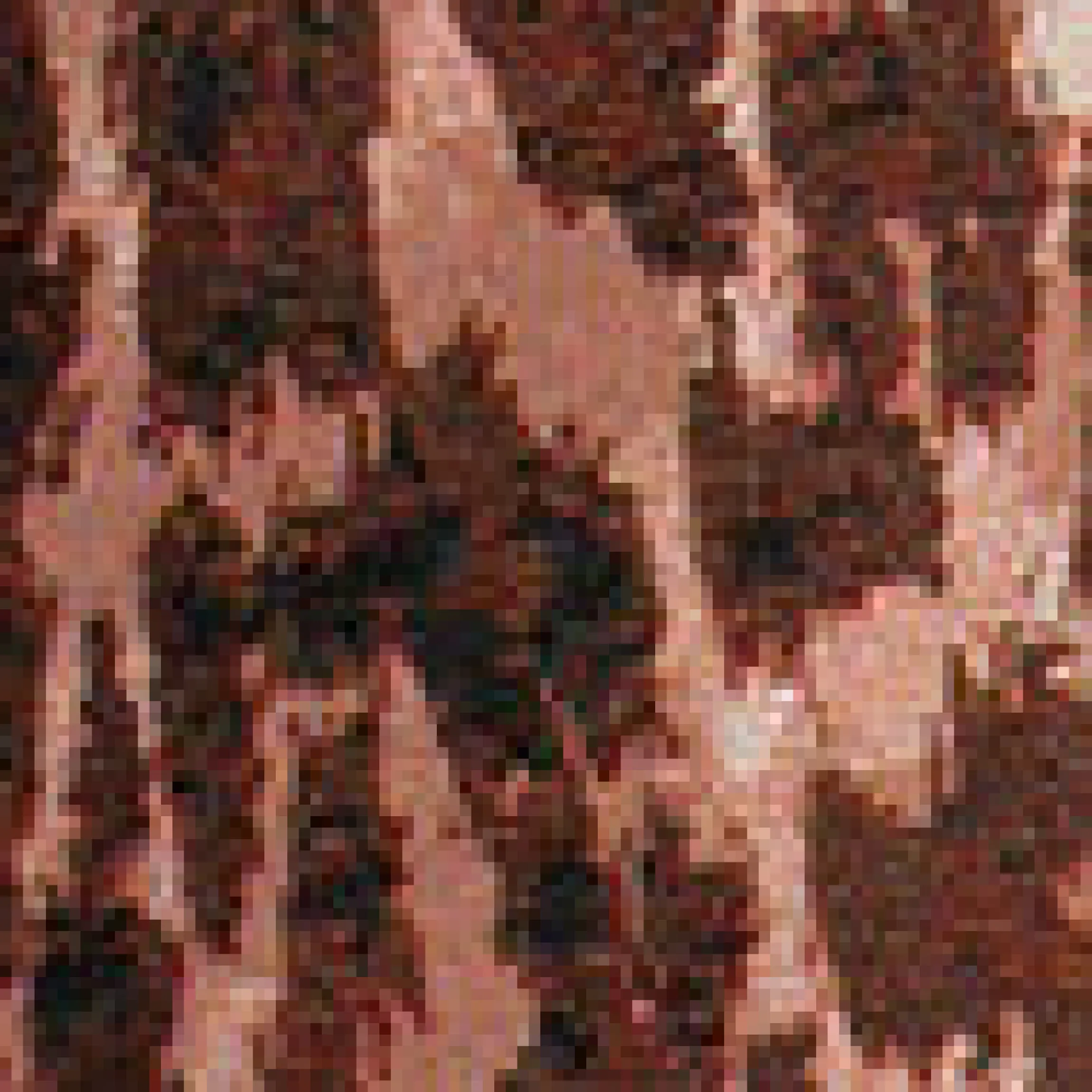 Hose mit Leopardenprint