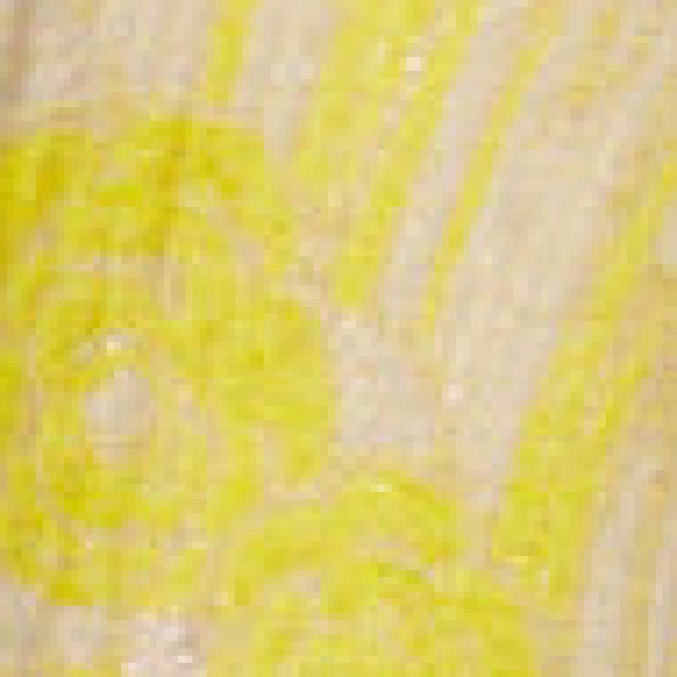 Jacquard-Hose mit Bügelfalten