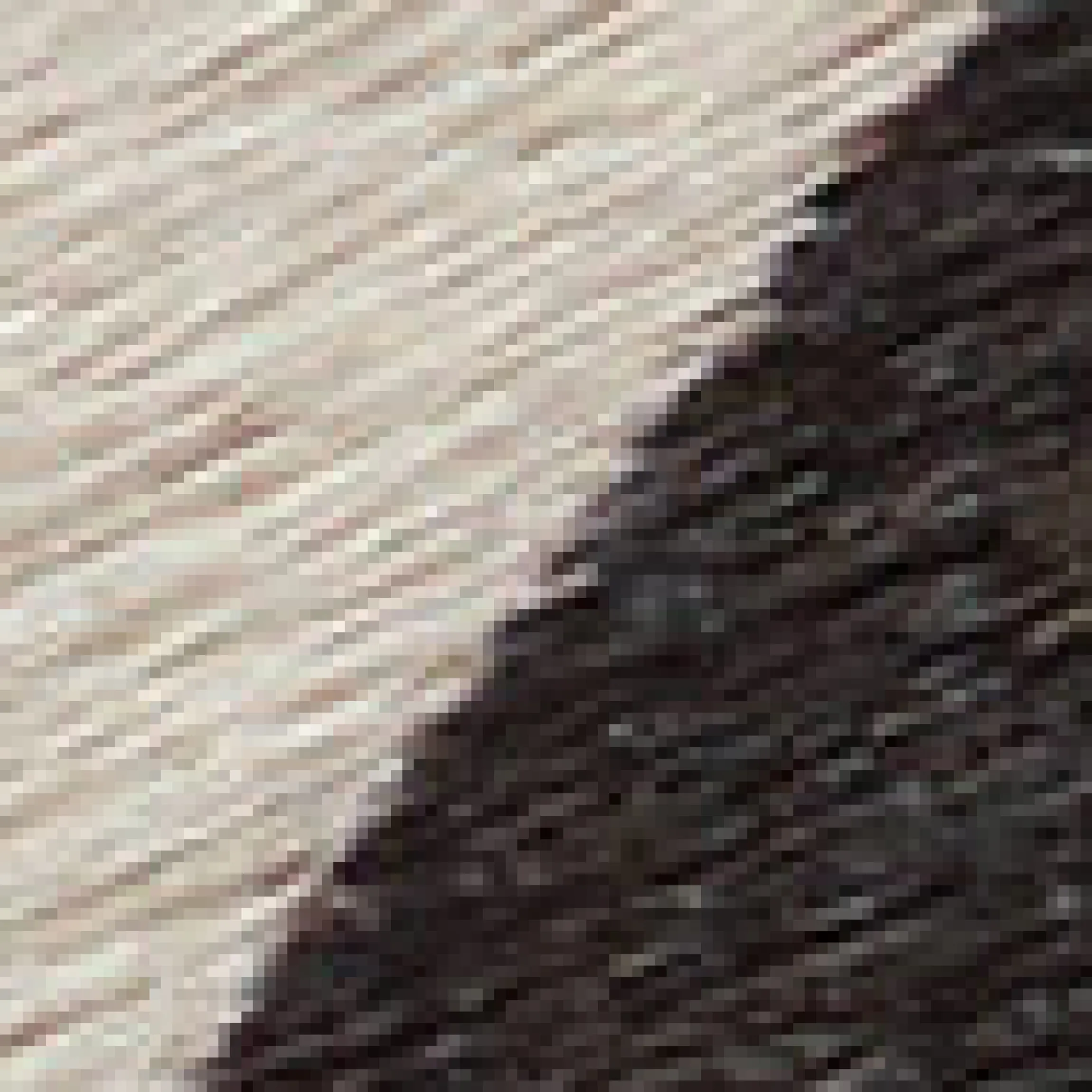 Ledergürtel mit Kuh-Print