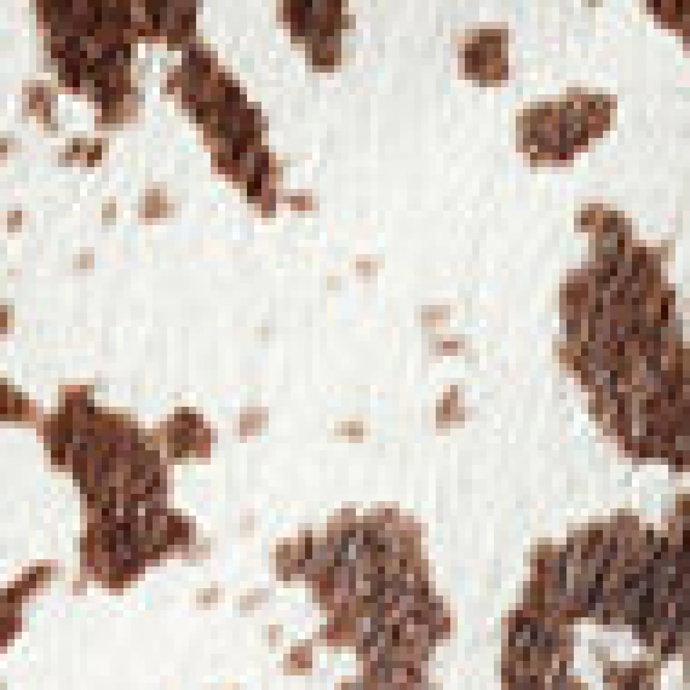 Loafer mit Kuh-Print