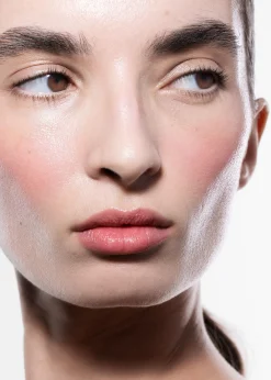Mauve Modern Wangen- und Lippenfarbe