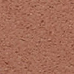 Medium/Deep Complexion Tint