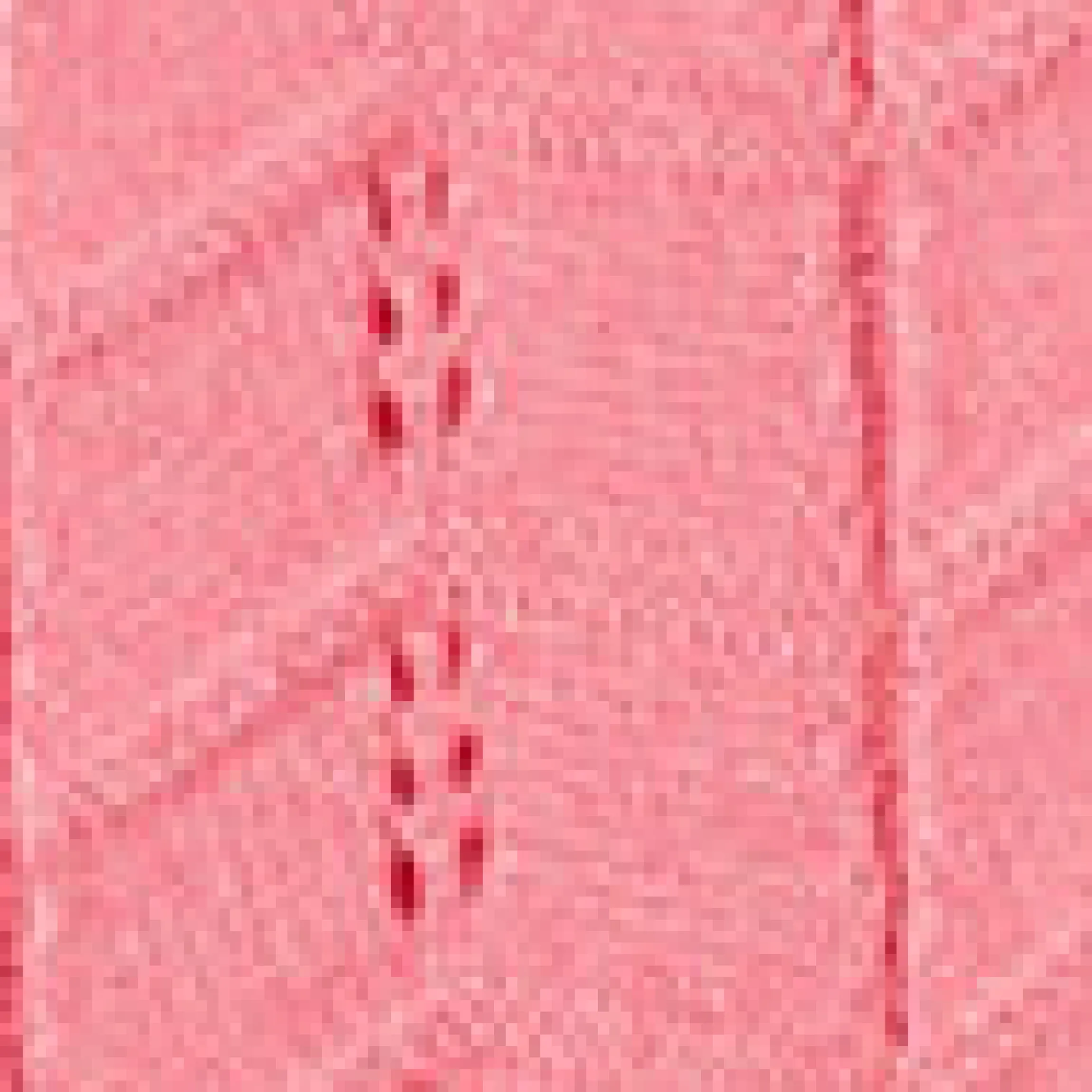 Midikleid aus Pointelle-Strick