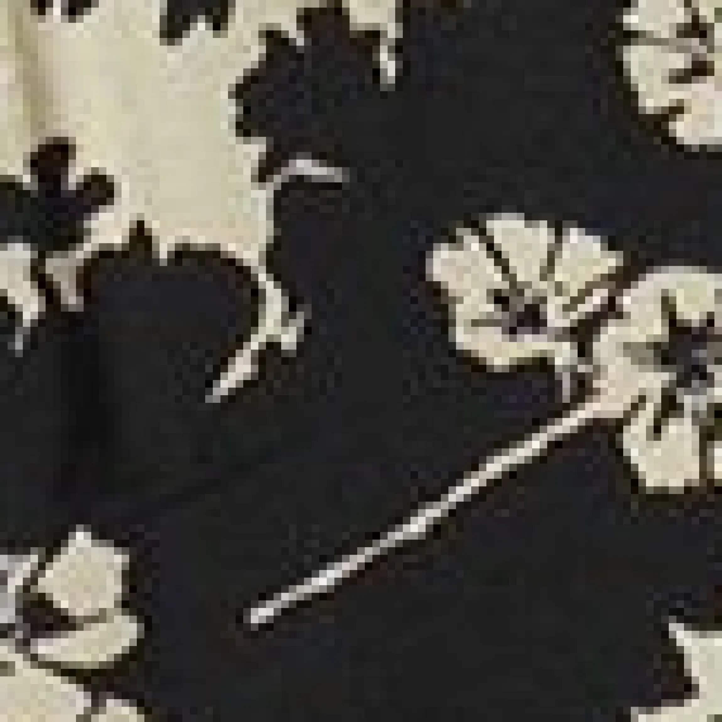 Midikleid mit Volantärmeln