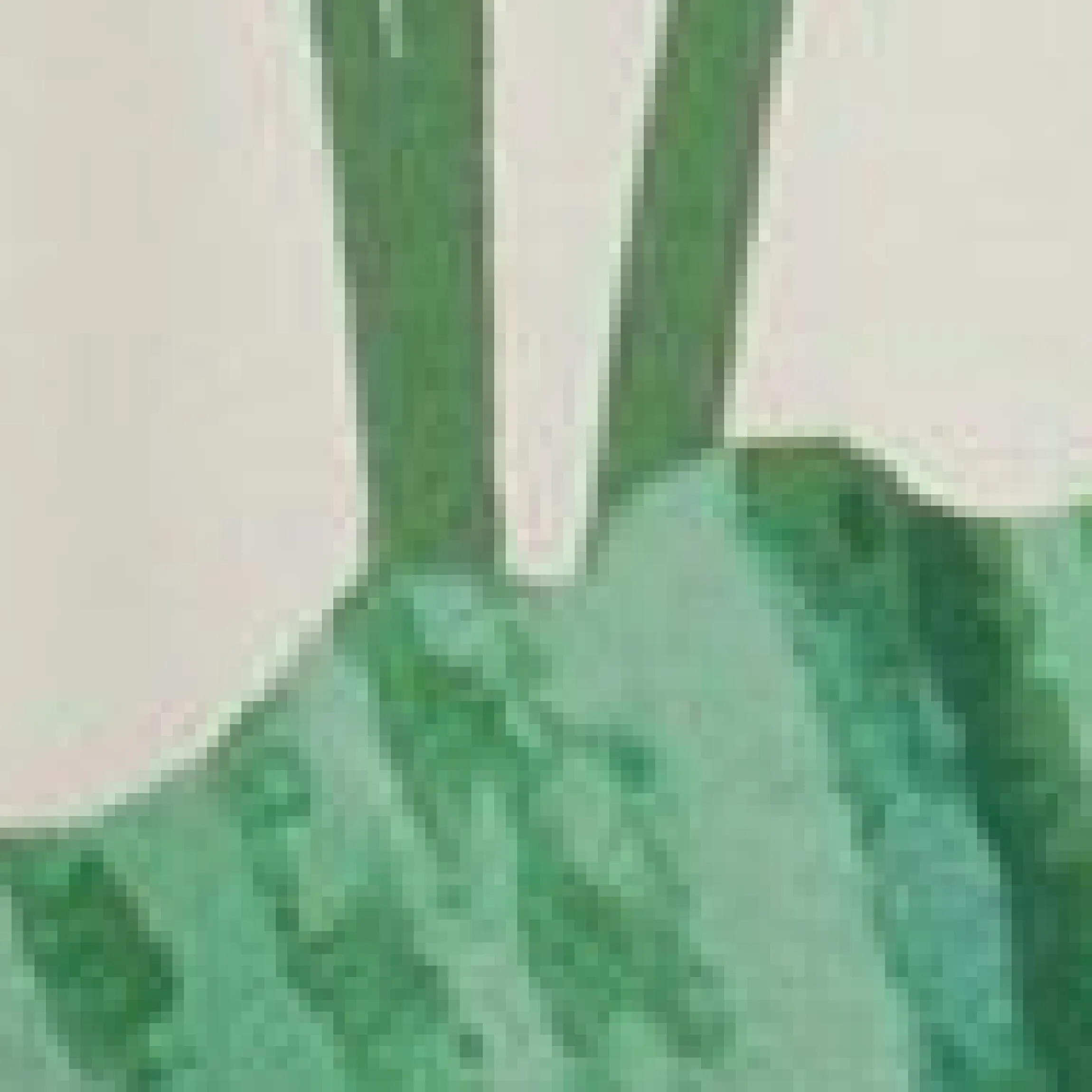 Neckholder-Maxikleid mit Falten