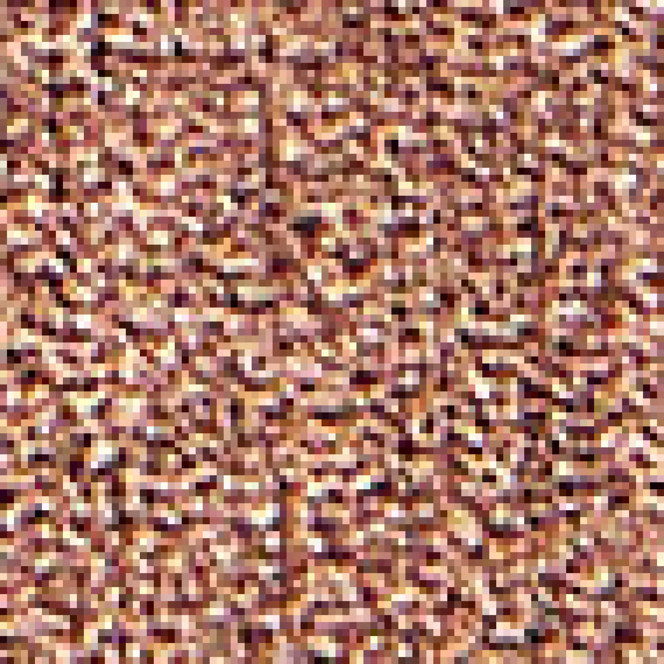 Signature Shades Lidschattenpalette