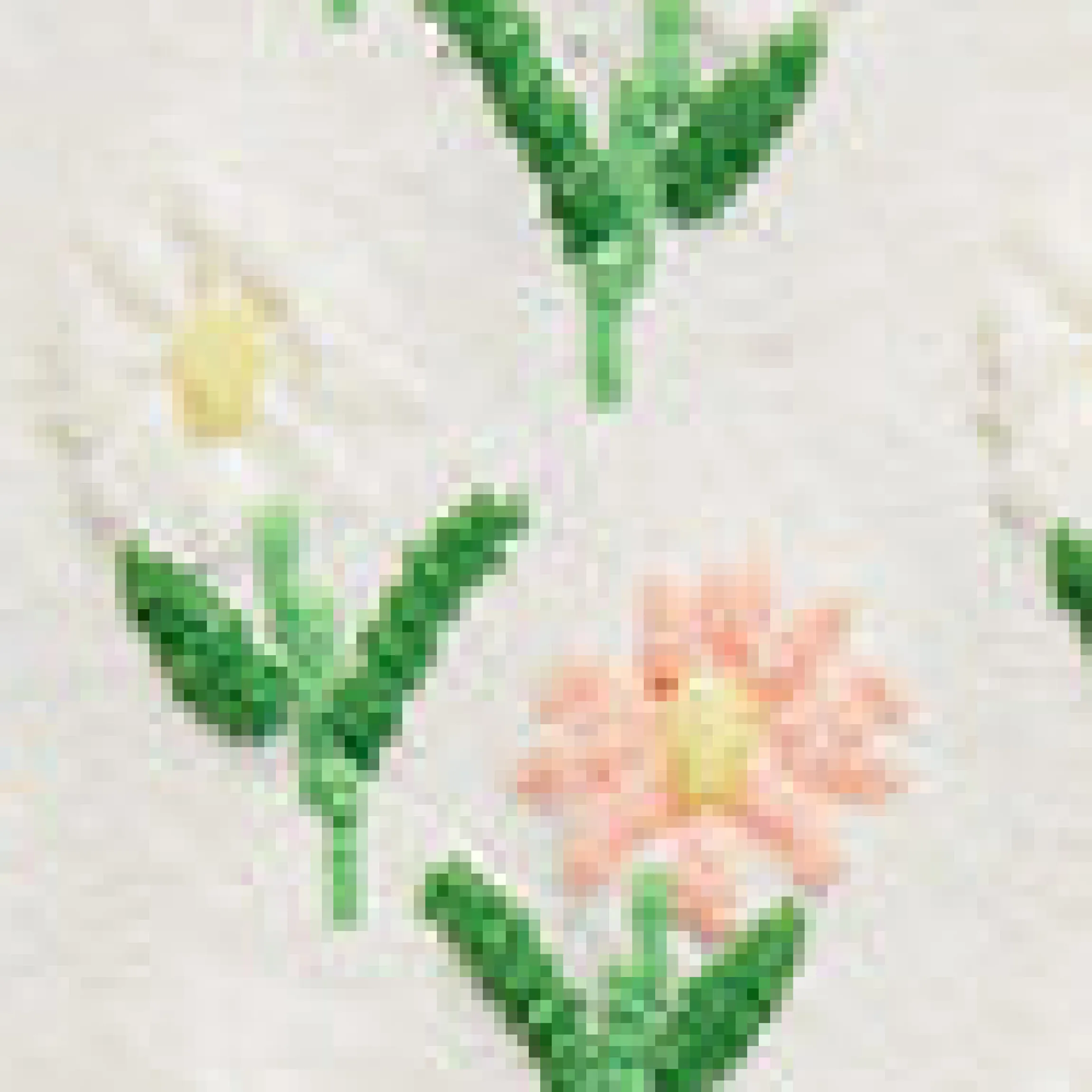 Socken mit Blumenstickerei