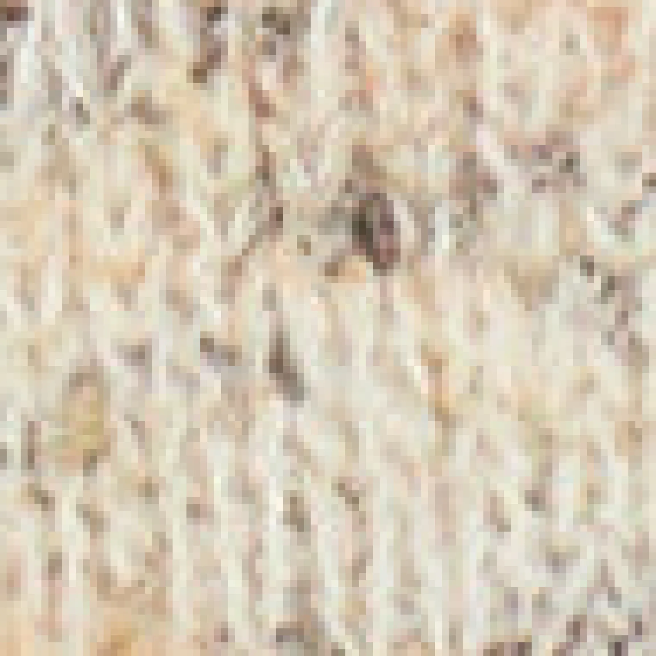 Strickjacke mit Knopfleiste