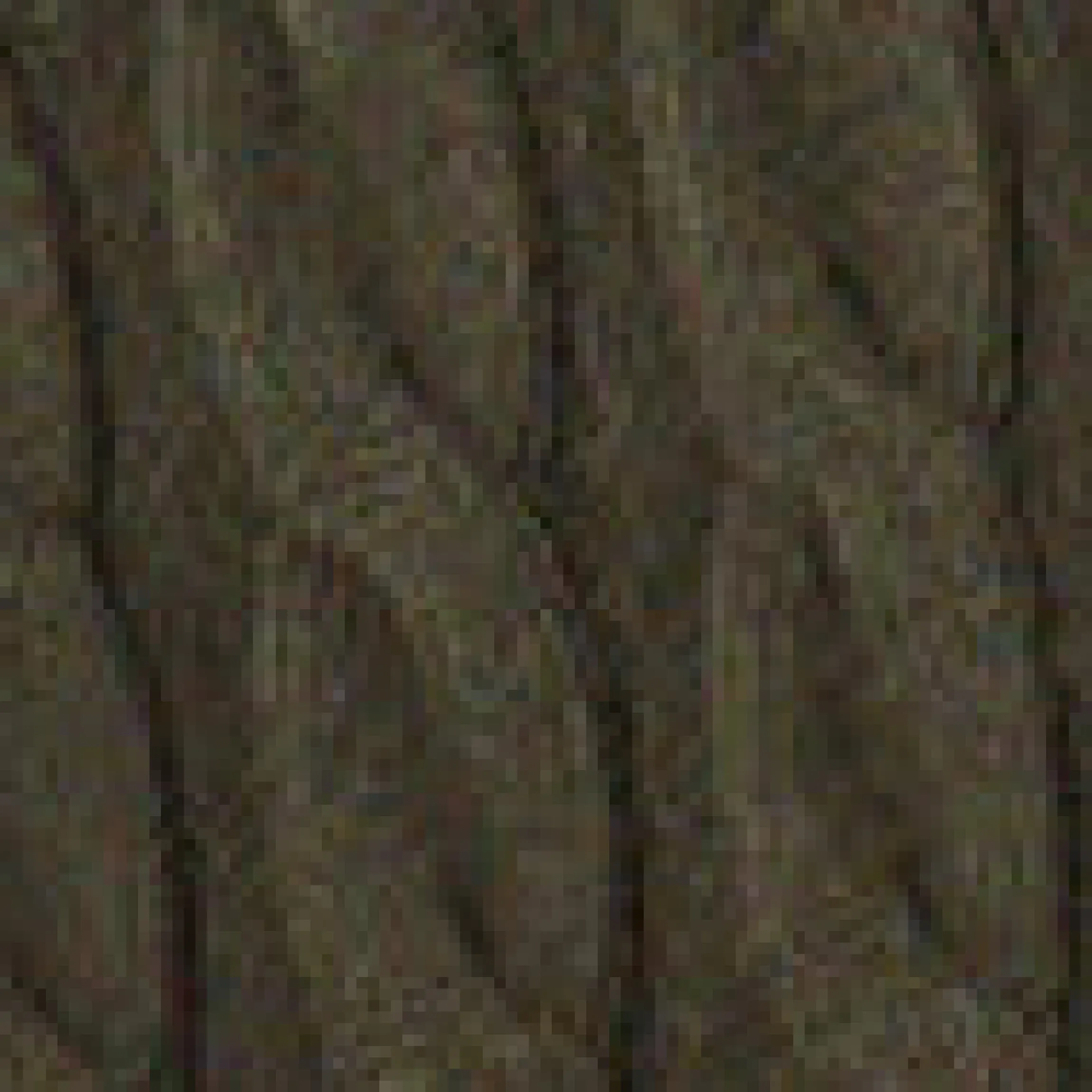 Strickjacke mit Zopfmuster