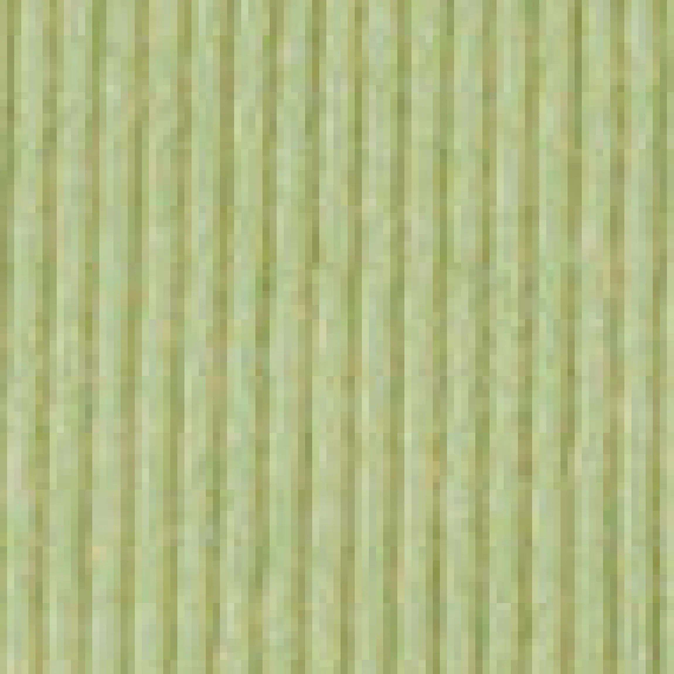 Tanktop mit Schnallendetail