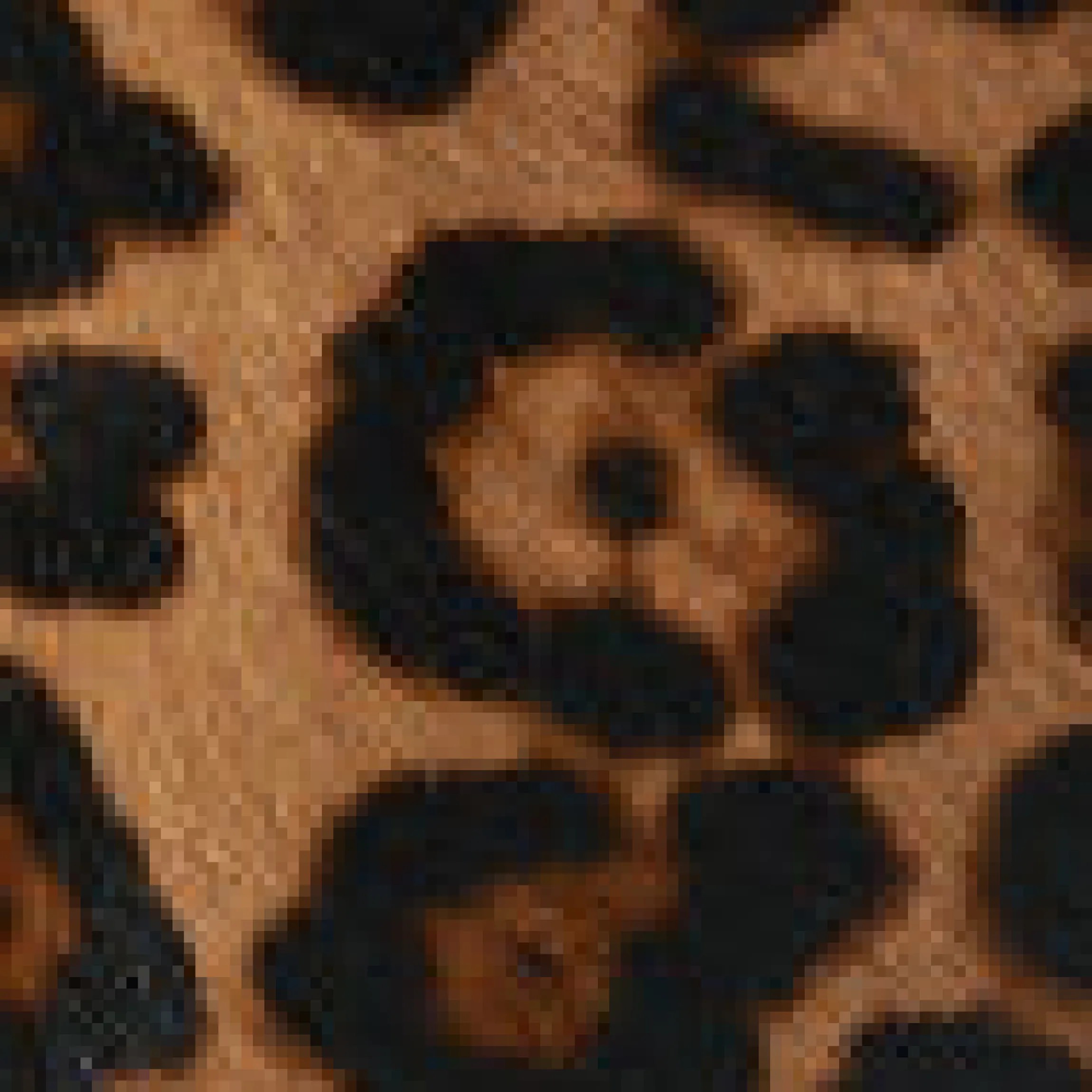 Tragetasche aus Leder mit Leopardenmuster