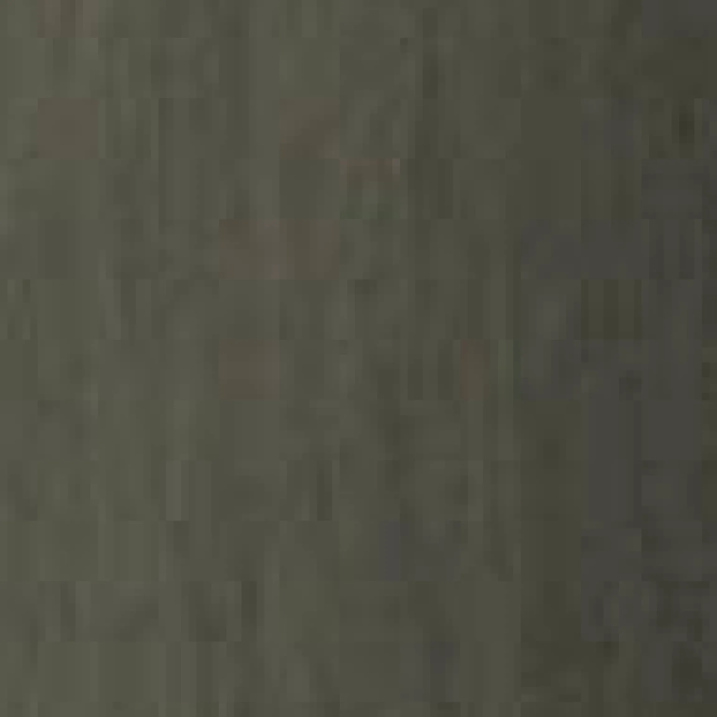 Trenchcoat mit hohem Kragen