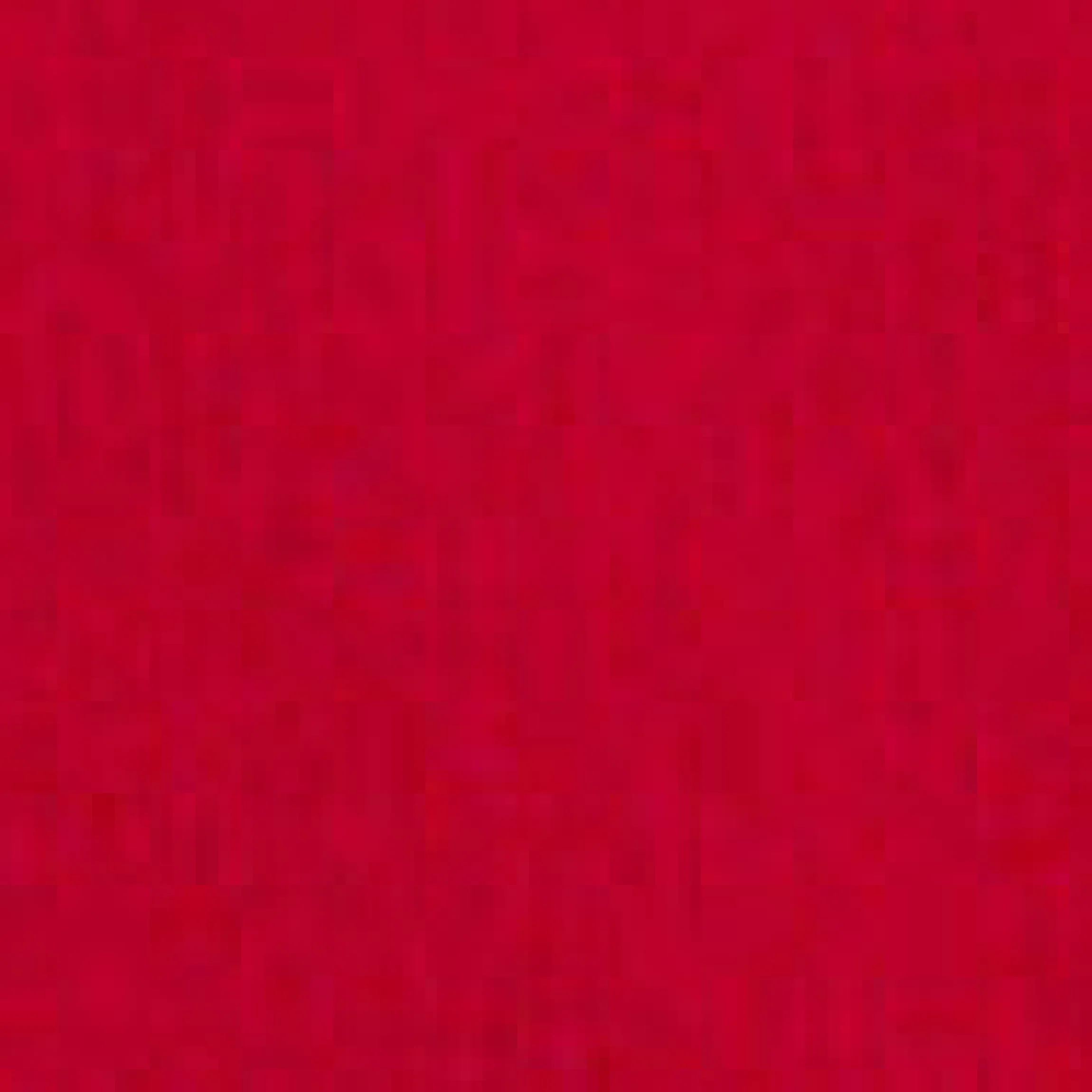 T-Shirt mit Blumenapplikation
