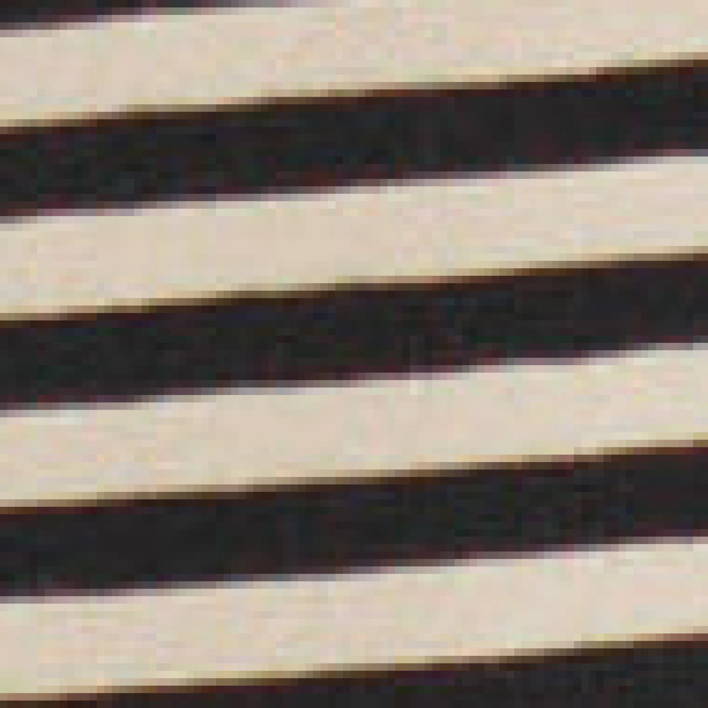 T-Shirt mit Stickerei