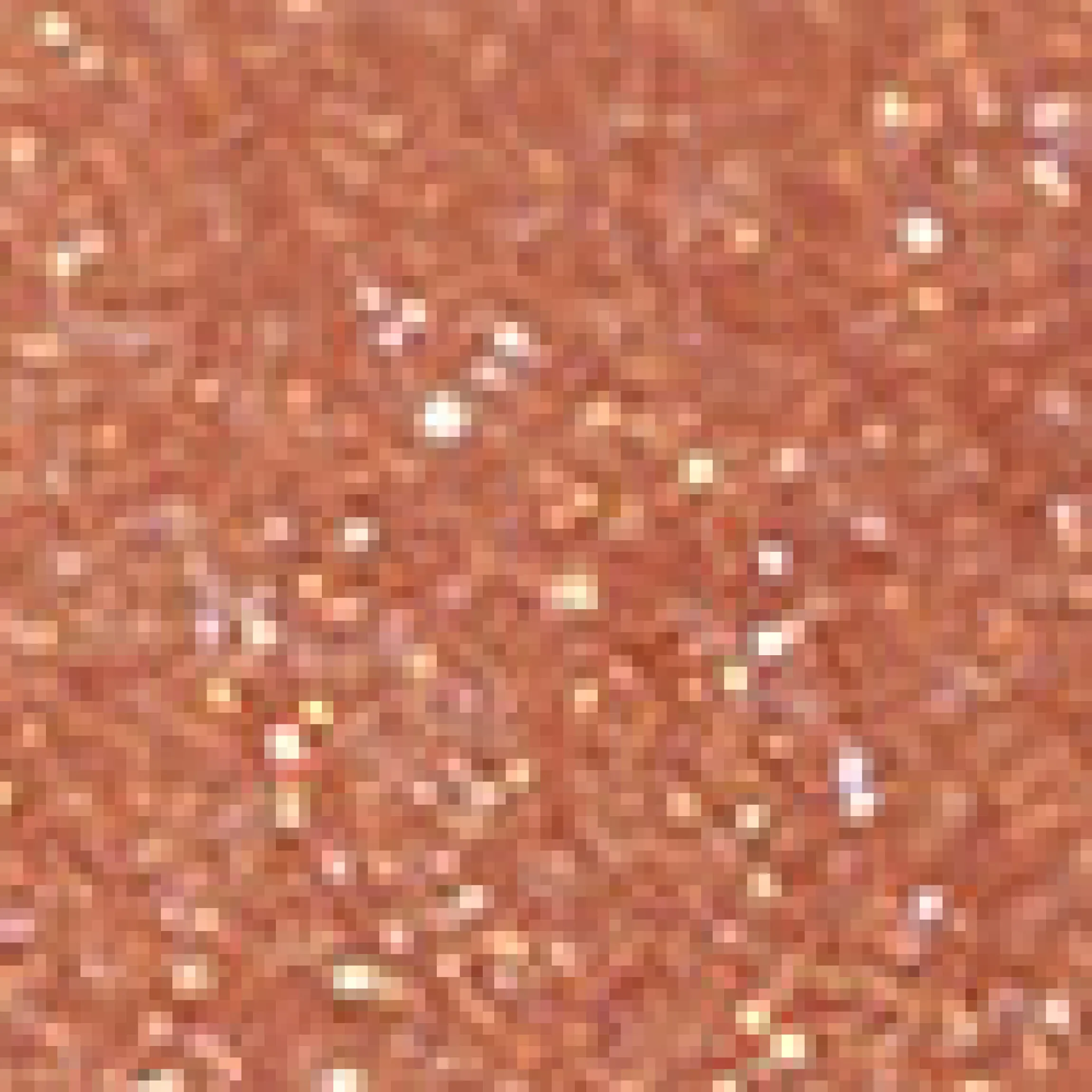 Warm Earth Creme-Highlighter